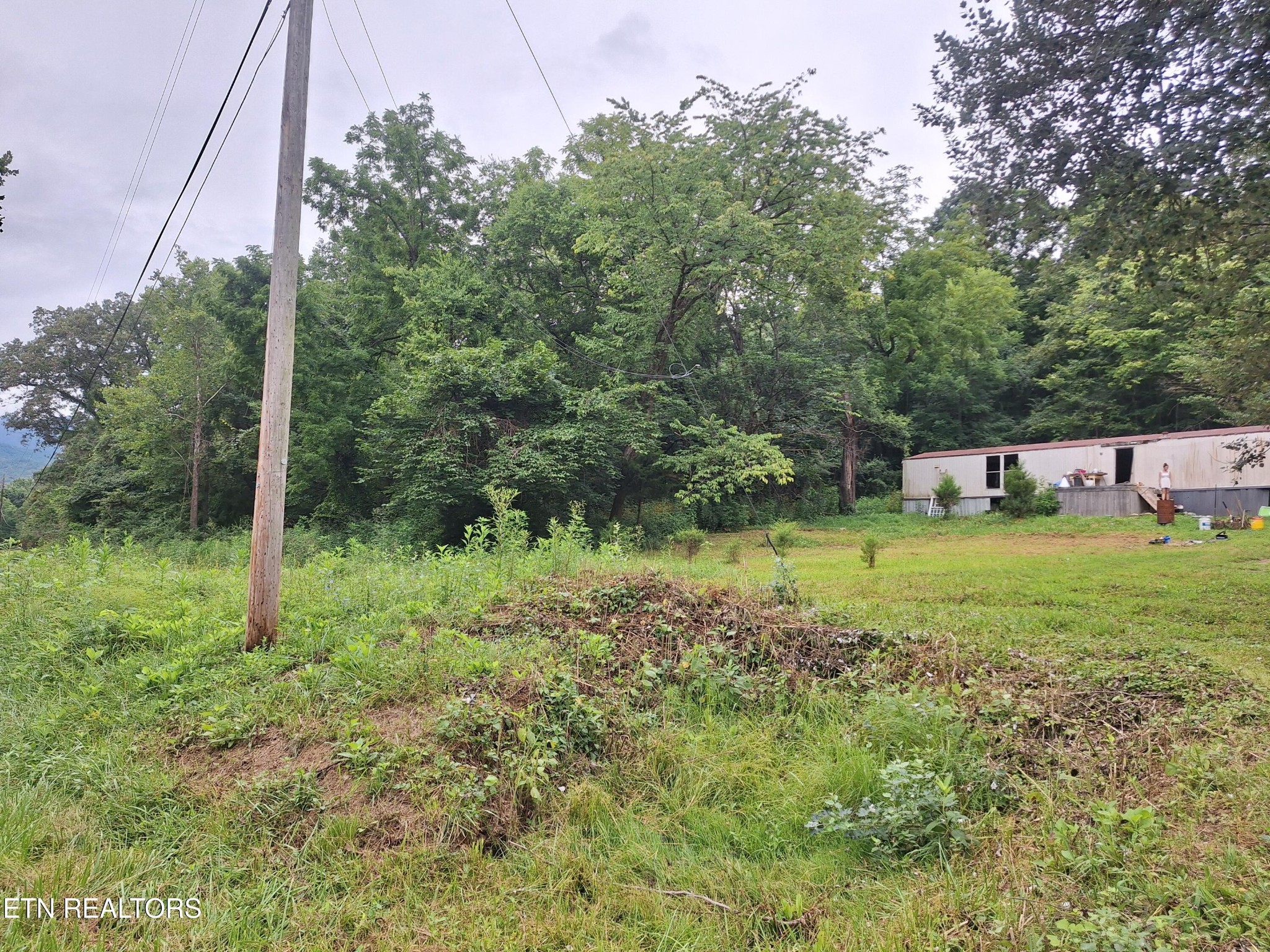 401 Rudd Hollow Road Townsend, TN 37882 - Photo 2 of 3 a view of a house with a yard
