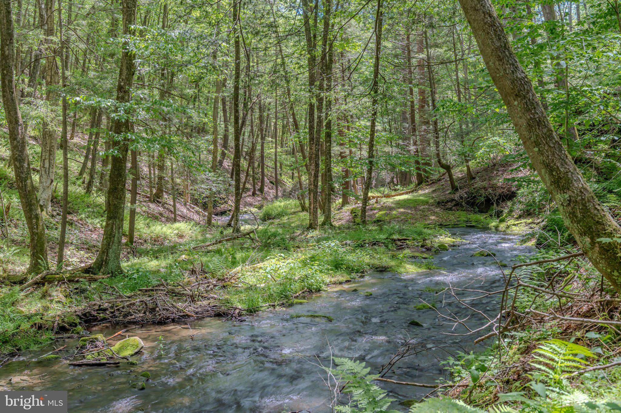 0 Cummins Hill Road Matamoras, PA 18336 - Photo 105 of 116 Tranquil stream in lush woodland