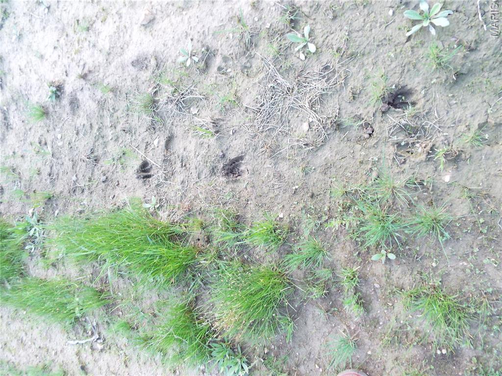 0 Shivers Road Linn Creek, MO 65052 - Photo 19 of 75