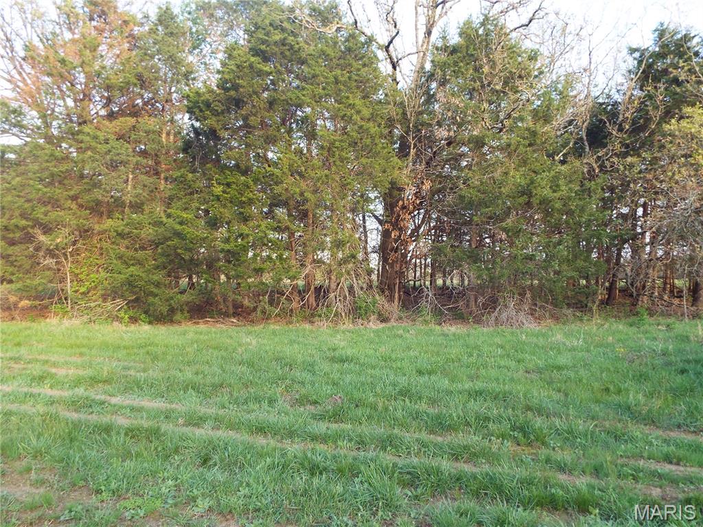 0 Shivers Road Linn Creek, MO 65052 - Photo 21 of 75