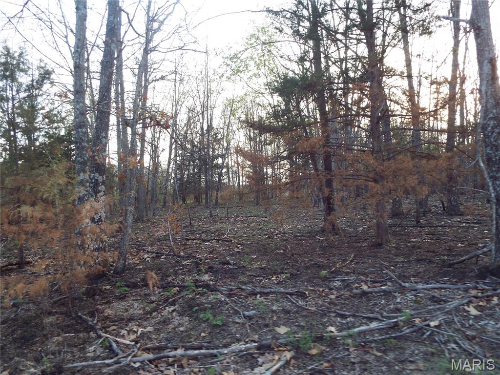 0 Shivers Road Linn Creek, MO 65052 - Photo 28 of 75