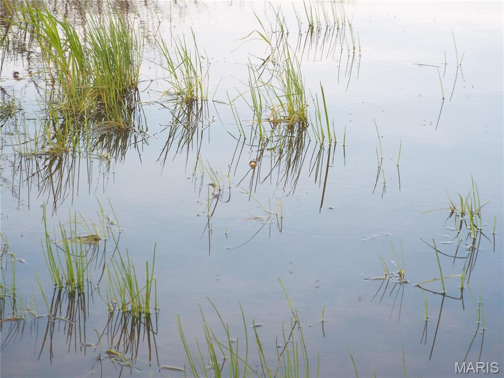 0 Shivers Road Linn Creek, MO 65052 - Photo 41 of 75