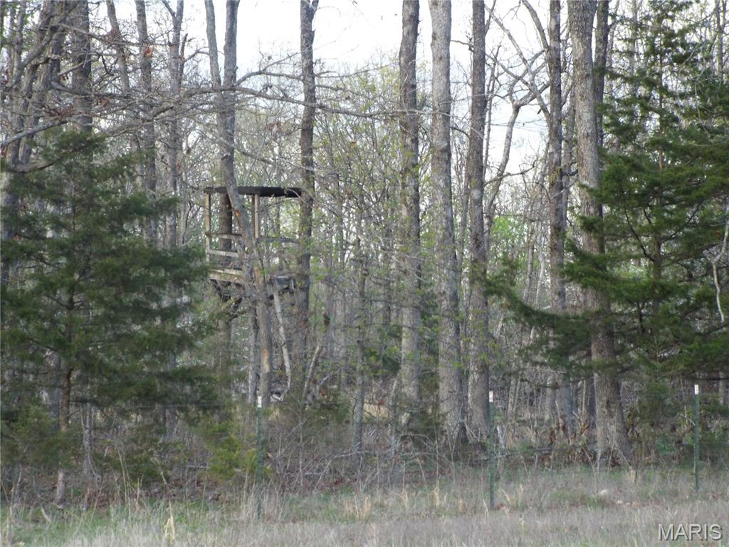 0 Shivers Road Linn Creek, MO 65052 - Photo 42 of 75