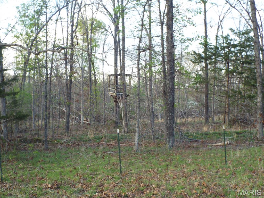 0 Shivers Road Linn Creek, MO 65052 - Photo 43 of 75