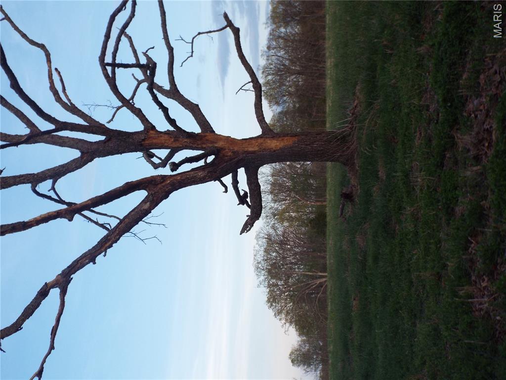 0 Shivers Road Linn Creek, MO 65052 - Photo 50 of 75