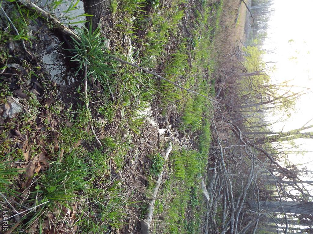 0 Shivers Road Linn Creek, MO 65052 - Photo 57 of 75