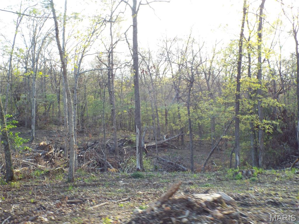 0 Shivers Road Linn Creek, MO 65052 - Photo 6 of 75