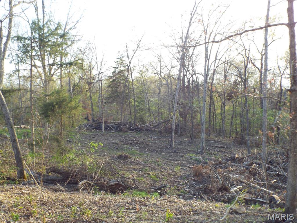 0 Shivers Road Linn Creek, MO 65052 - Photo 7 of 75