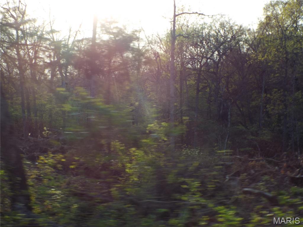 0 Shivers Road Linn Creek, MO 65052 - Photo 8 of 75