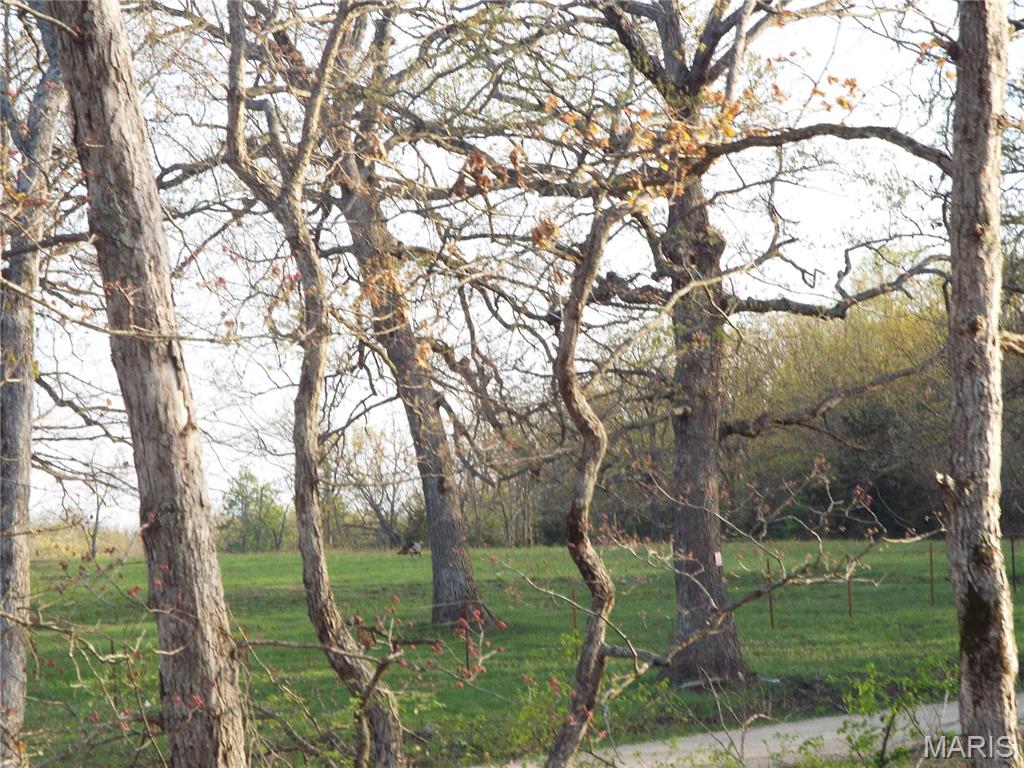 0 Shivers Road Linn Creek, MO 65052 - Photo 9 of 75