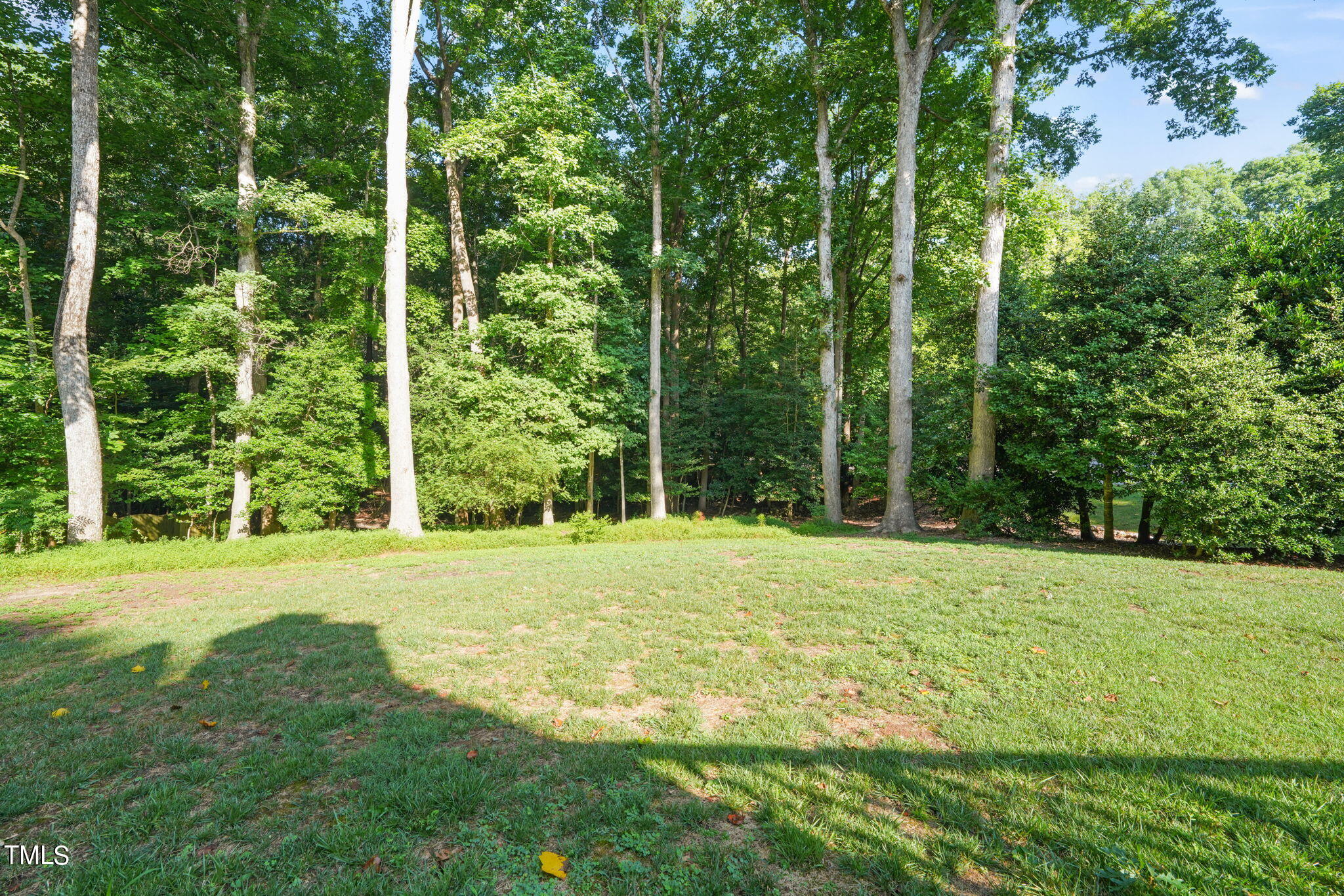 12717 Lindley Drive Raleigh, NC 27614 - Photo 39 of 45 a view of a big yard with large trees