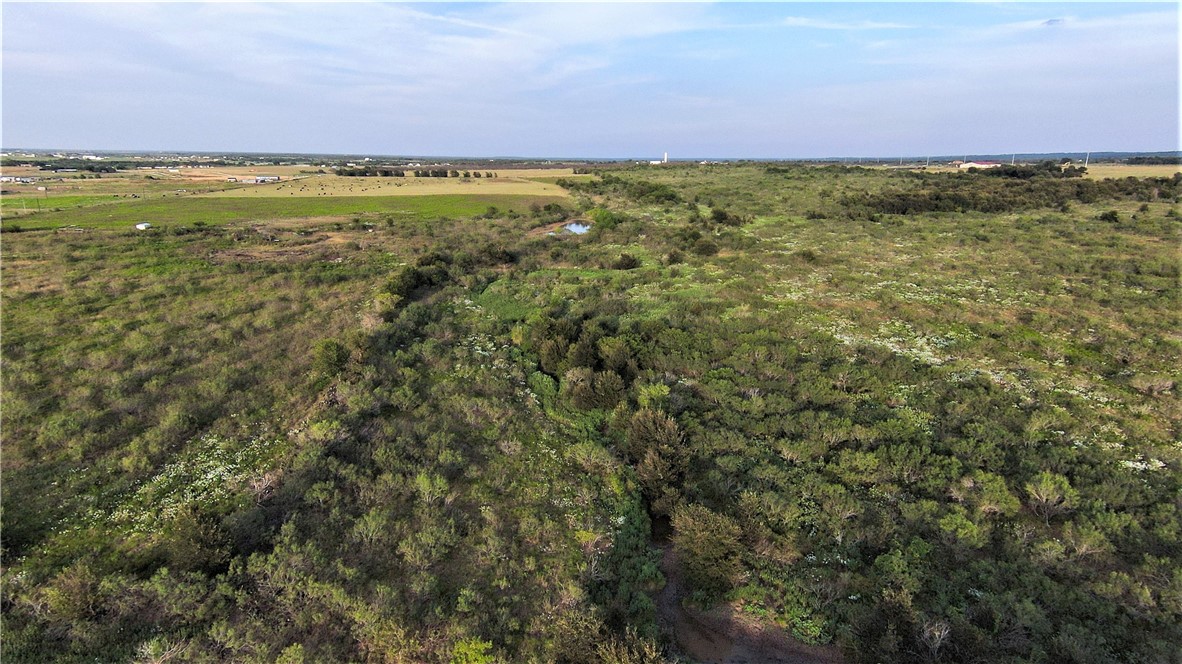 3191 County Road 463 Elgin, TX 78621 - Photo 1 of 1