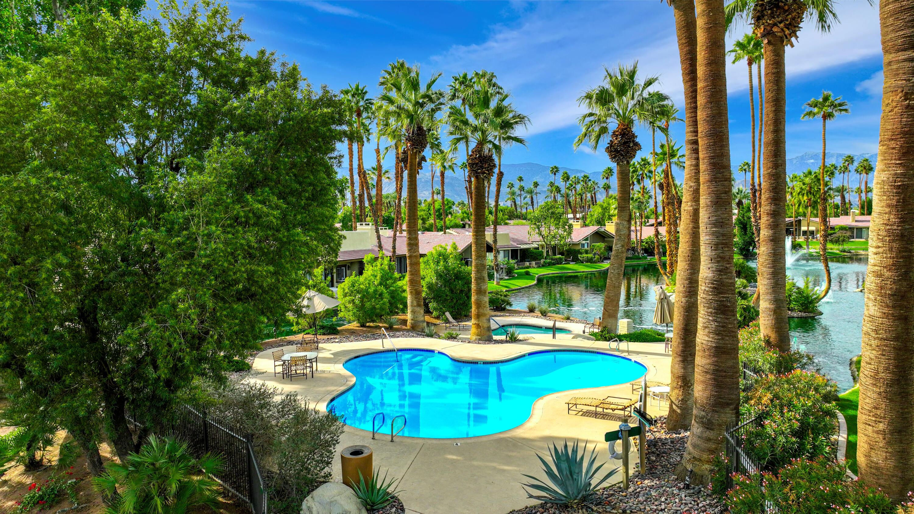 148 Deer Spring Way Palm Desert, CA 92211 - Photo 35 of 54 a view of a swimming pool with lawn chairs plants and palm trees