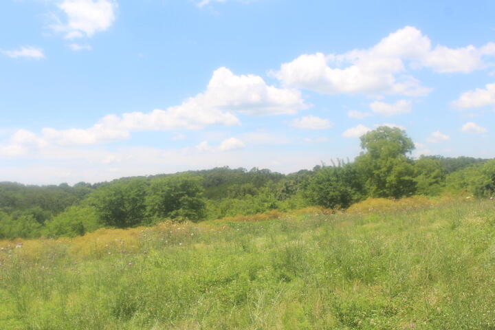 3176 South 170th Road Bolivar, MO 65613 - Photo 21 of 63 IMG_7609