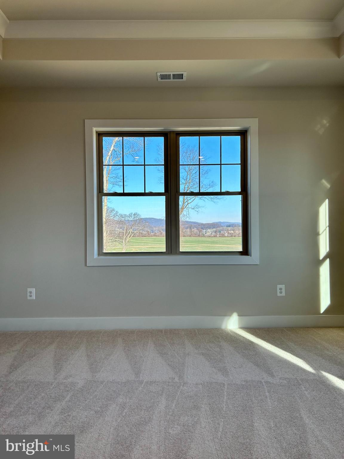 2104 Quebec School Road Middletown, MD 21769 - Photo 18 of 32 MASTER BEDROOM VIEW