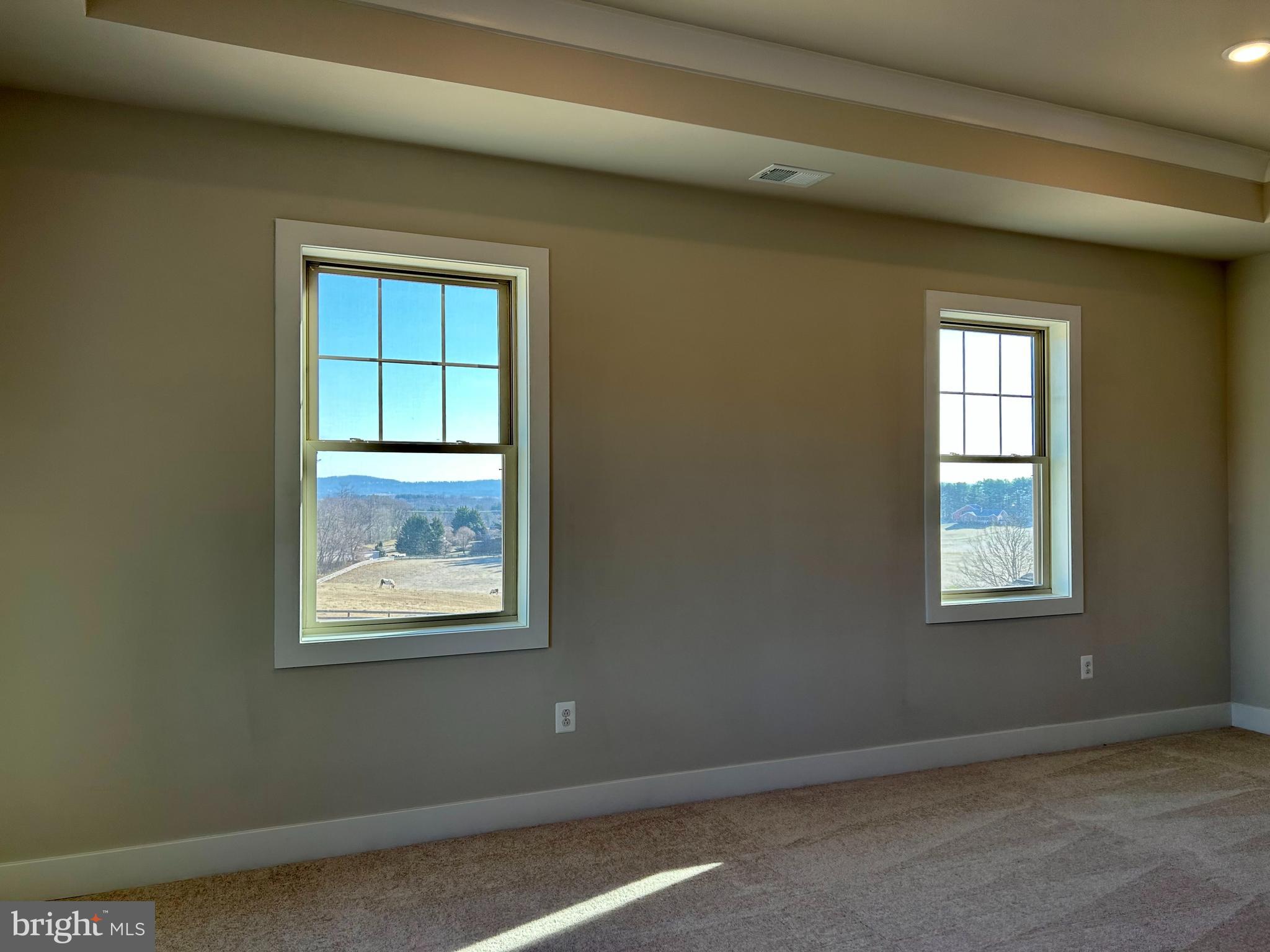 2104 Quebec School Road Middletown, MD 21769 - Photo 21 of 32 DOUBLE HUNG LOW-E WINDOWS