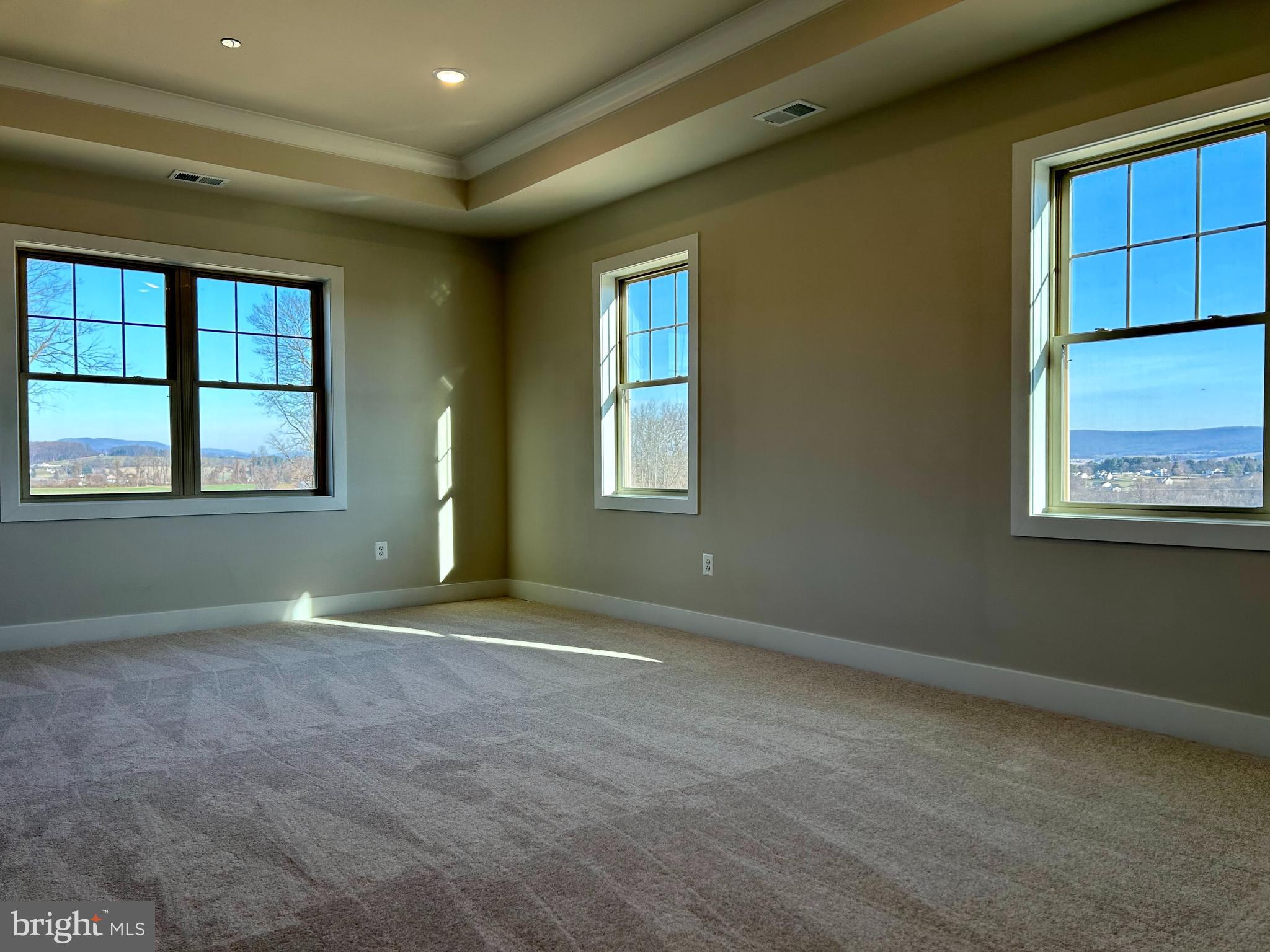 2104 Quebec School Road Middletown, MD 21769 - Photo 4 of 32 ABUNDANT NATURAL LIGHT