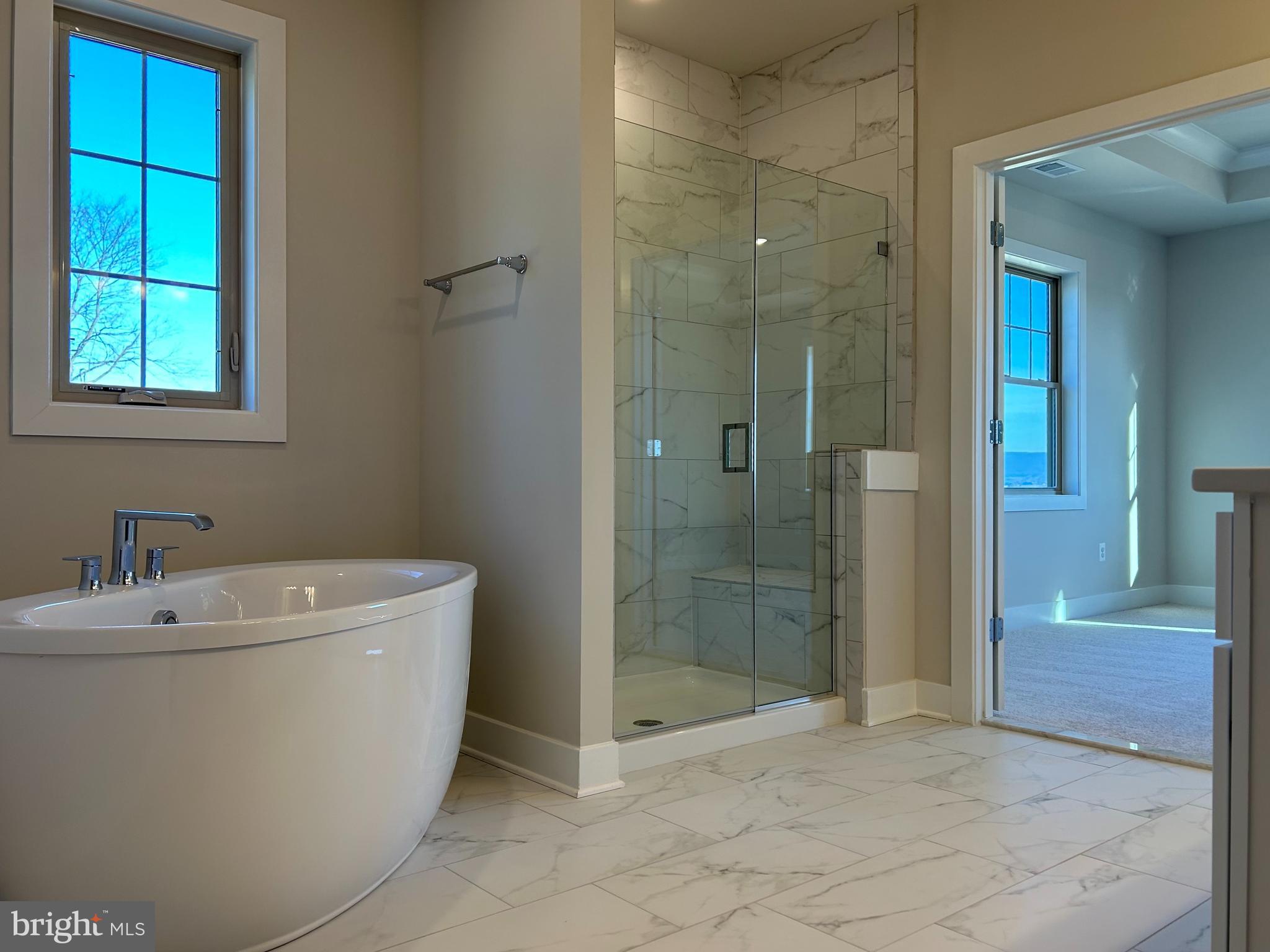 2104 Quebec School Road Middletown, MD 21769 - Photo 5 of 32 MASTER BATH WITH SOAKING TUB AND SHOWER