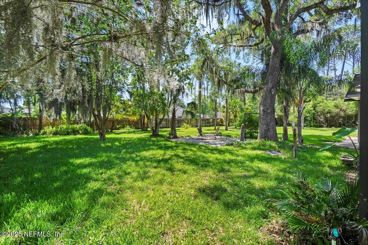 1344 Degrove Road St. Johns, FL 32259 - Photo 43 of 53 Back Yard