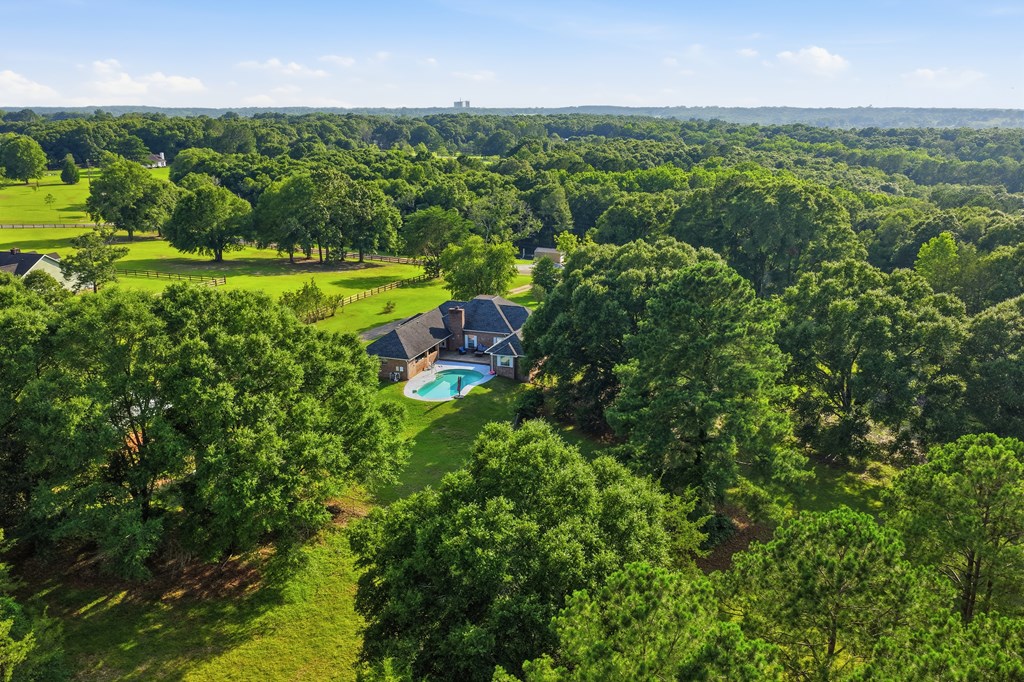 344 Hidden Springs Road Midland City, AL 36350 - Photo 60 of 64