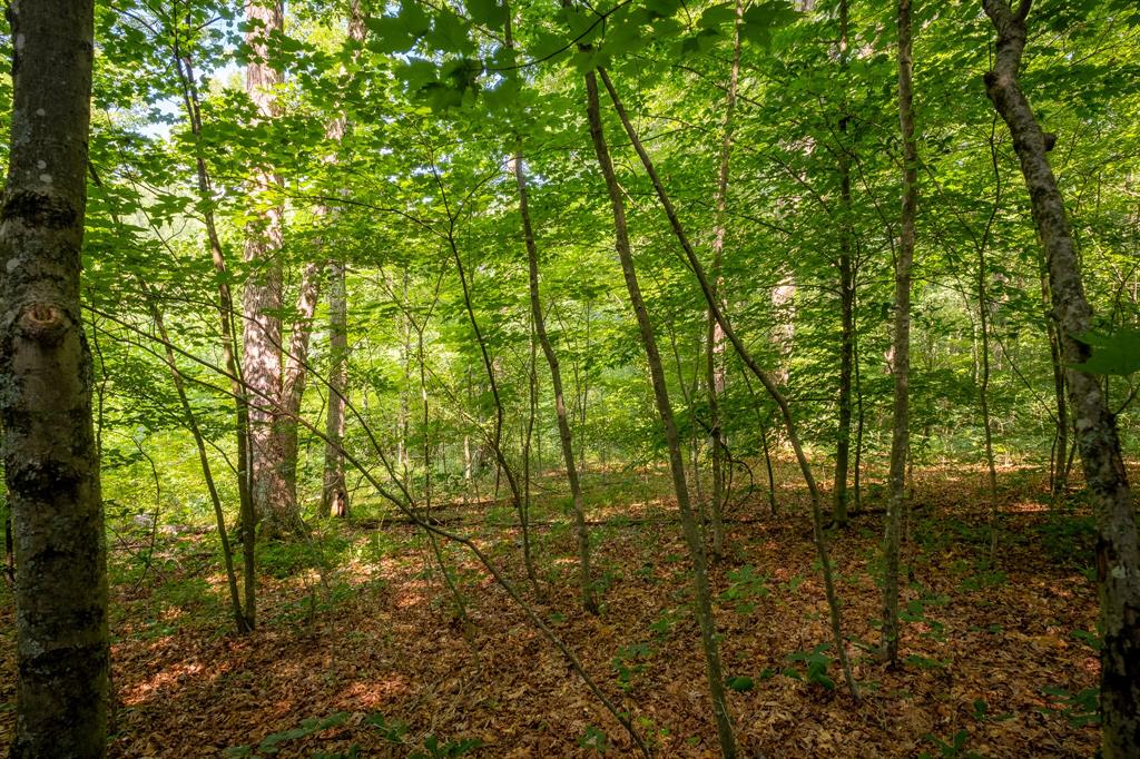 0 West Mt Healthy Road Columbus, IN 47201 - Photo 7 of 12