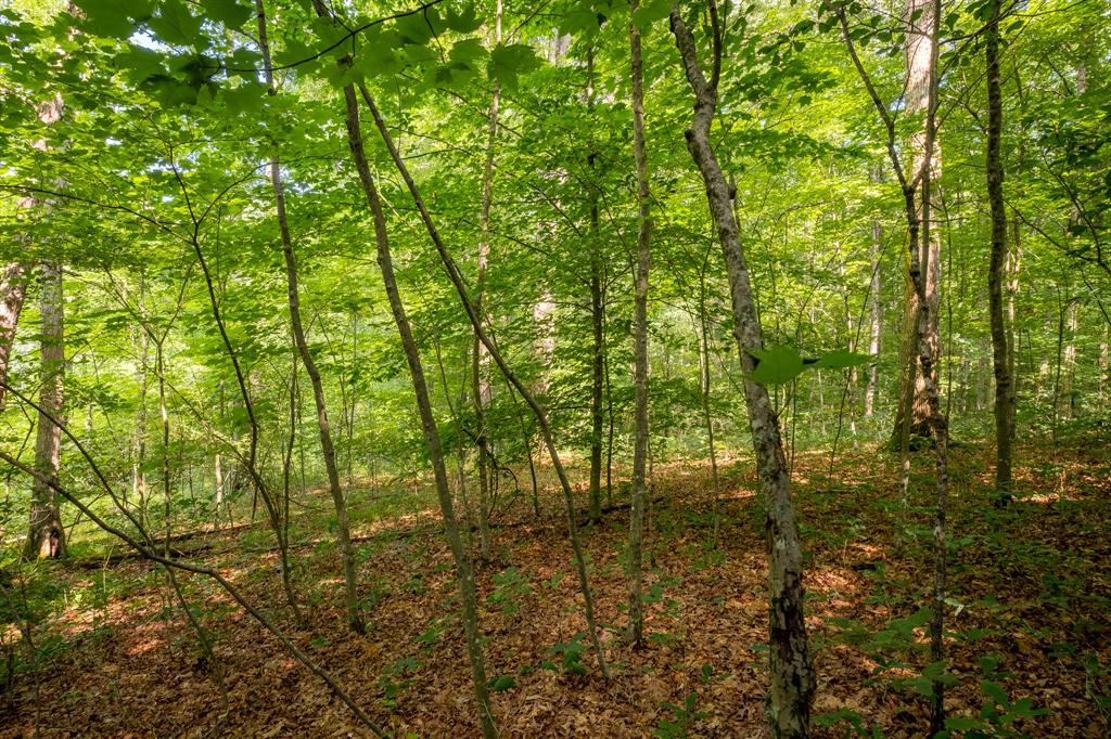 0 West Mt Healthy Road Columbus, IN 47201 - Photo 8 of 12