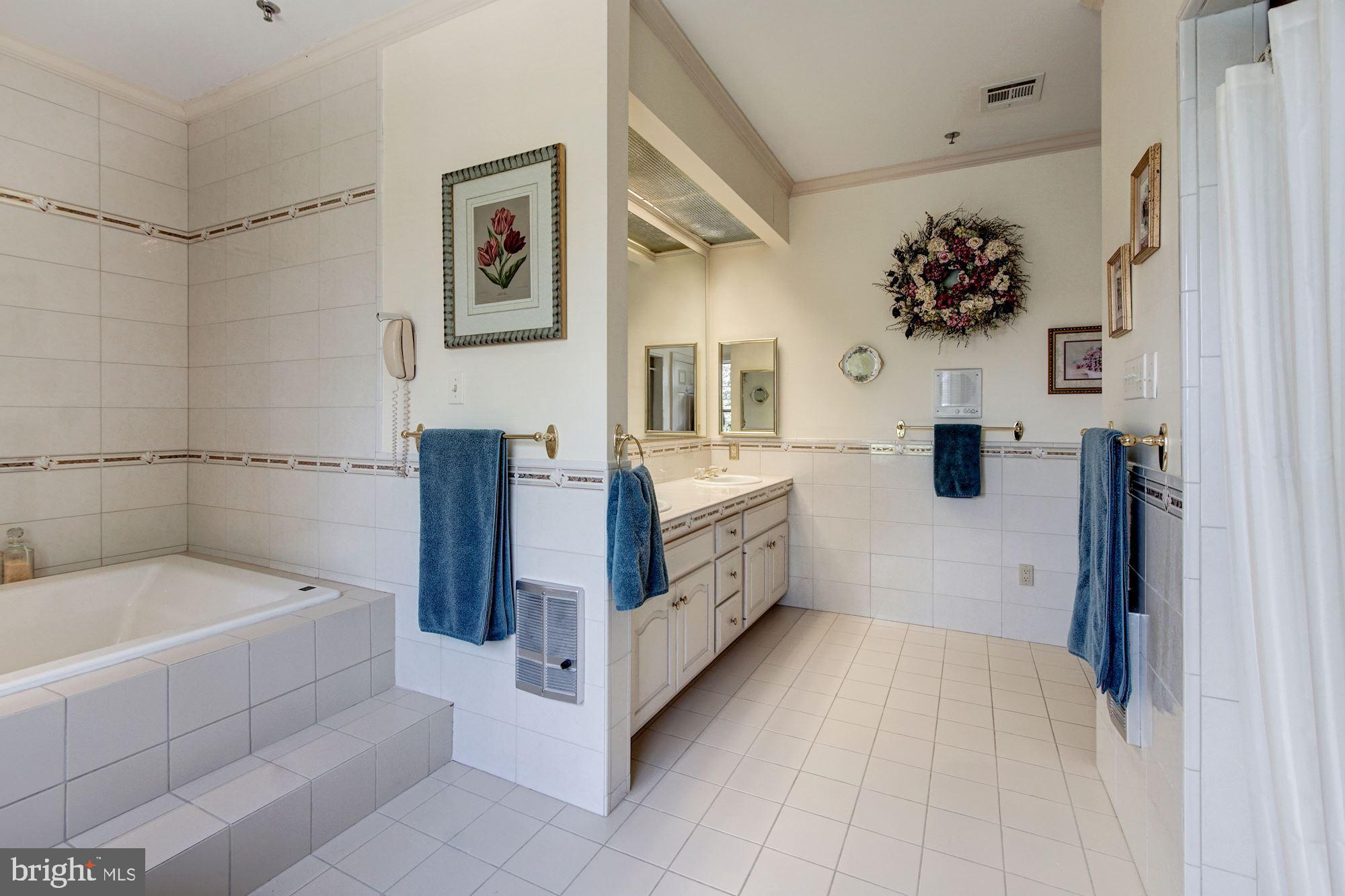 500 Swaggers Point Road Solomons, MD 20688 - Photo 31 of 59 Master Bath