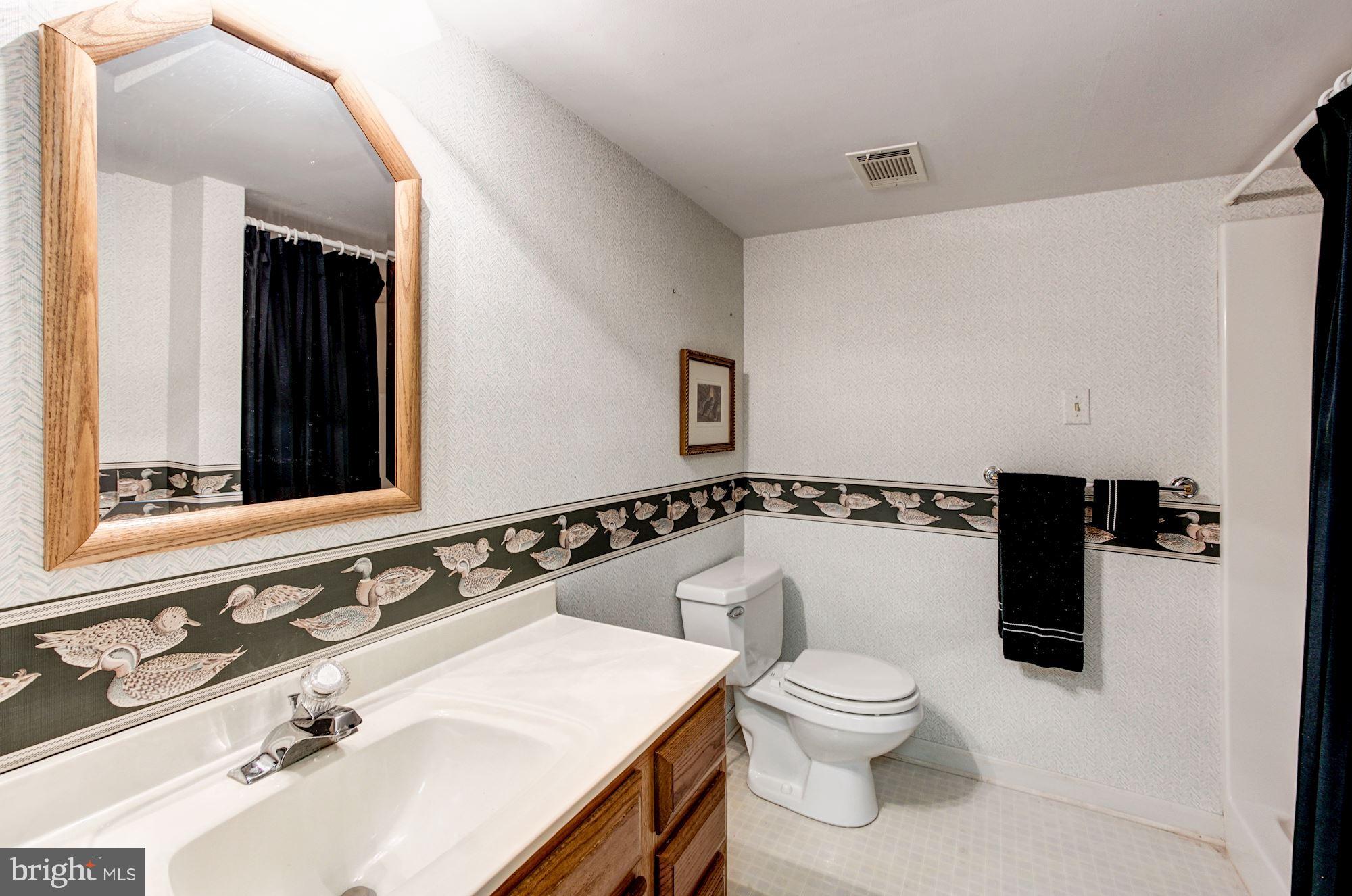 500 Swaggers Point Road Solomons, MD 20688 - Photo 38 of 59 Full Bath