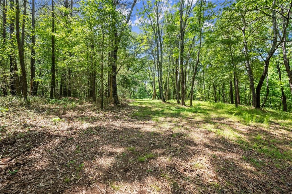 1000 Jim Johnson Road Northwest Winder, GA 30680 - Photo 30 of 37 a view of outdoor space with trees all around