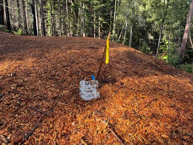 791 Summit Drive Boulder Creek, CA 95006 - Photo 11 of 22 a view of a tiny house with a tree