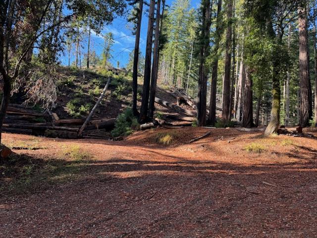 791 Summit Drive Boulder Creek, CA 95006 - Photo 16 of 22 a view of a backyard of the house