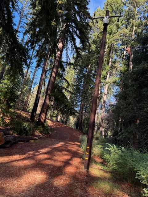 791 Summit Drive Boulder Creek, CA 95006 - Photo 19 of 22 a view of outdoor space