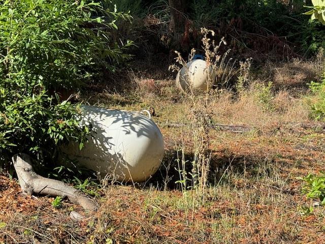 791 Summit Drive Boulder Creek, CA 95006 - Photo 21 of 22 a view of a backyard of a house with a fountain