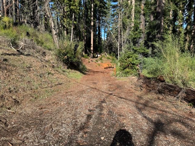 791 Summit Drive Boulder Creek, CA 95006 - Photo 3 of 22 a view of yard