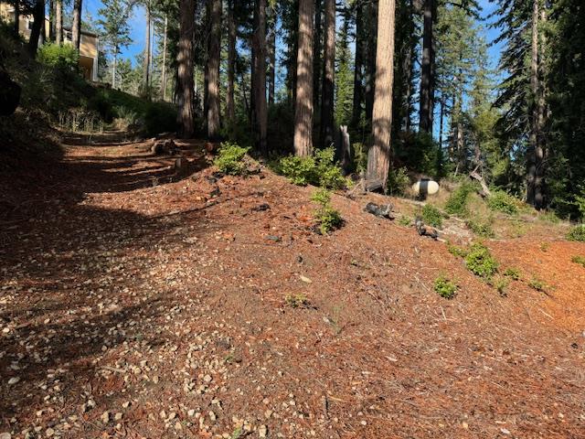 791 Summit Drive Boulder Creek, CA 95006 - Photo 4 of 22 a view of a yard with trees