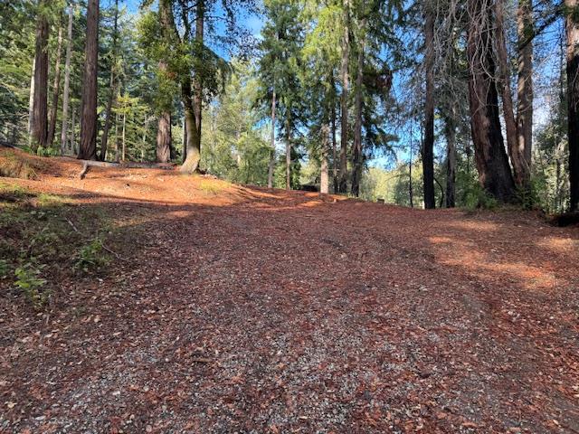 791 Summit Drive Boulder Creek, CA 95006 - Photo 7 of 22 a view of dirt yard with large trees