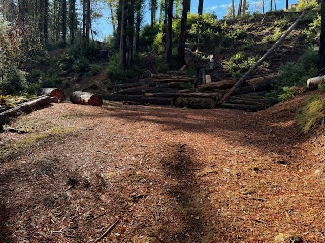 791 Summit Drive Boulder Creek, CA 95006 - Photo 8 of 22 a view of a backyard of the house