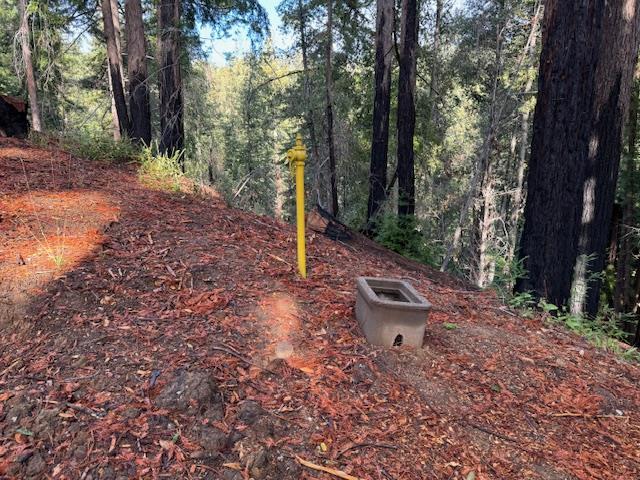 791 Summit Drive Boulder Creek, CA 95006 - Photo 9 of 22 a backyard of a house with lots of green space