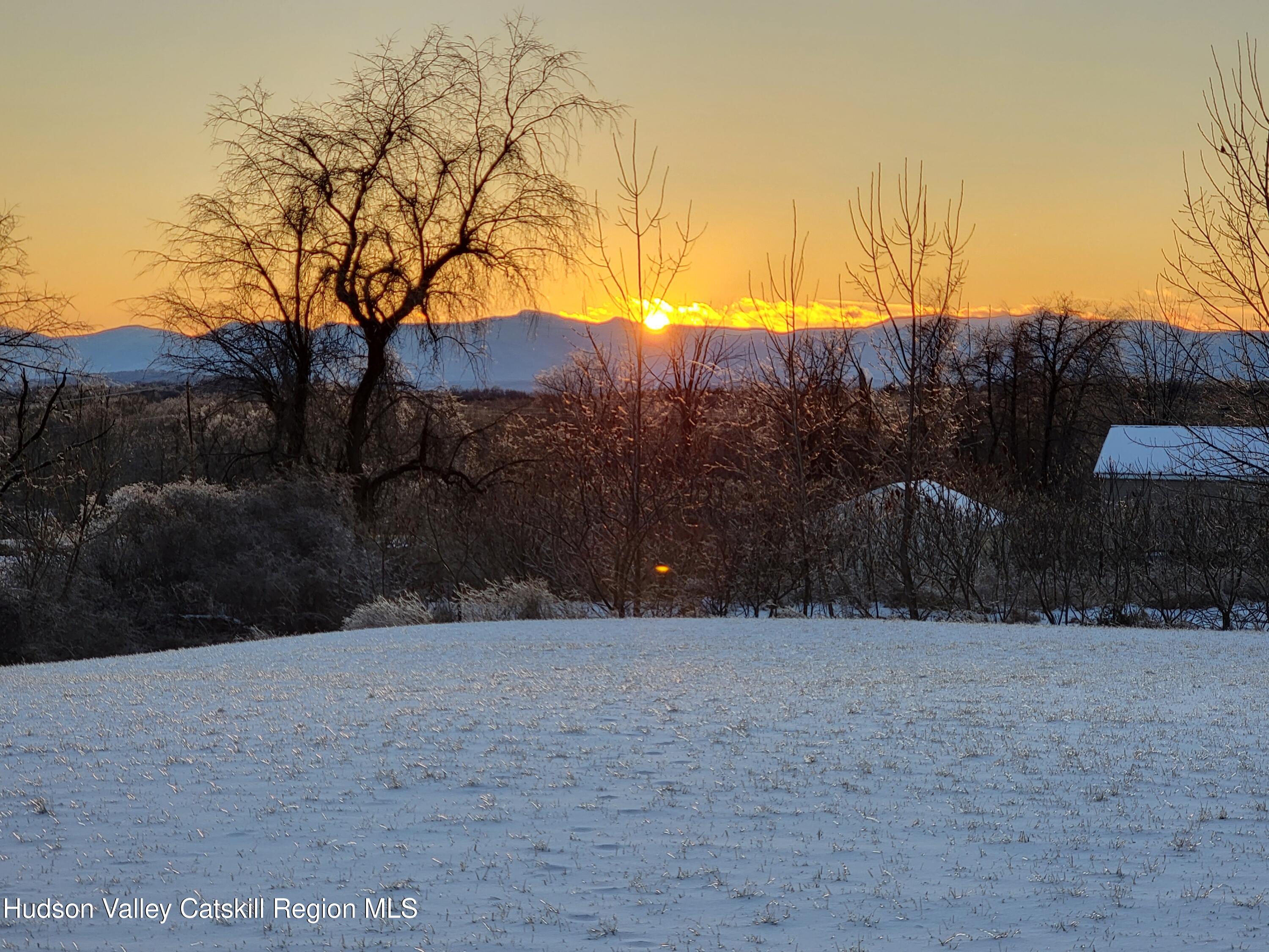 490 Talerico Road Ghent, NY 12075 - Photo 3 of 24 a view of a yard covered with snow in front of house