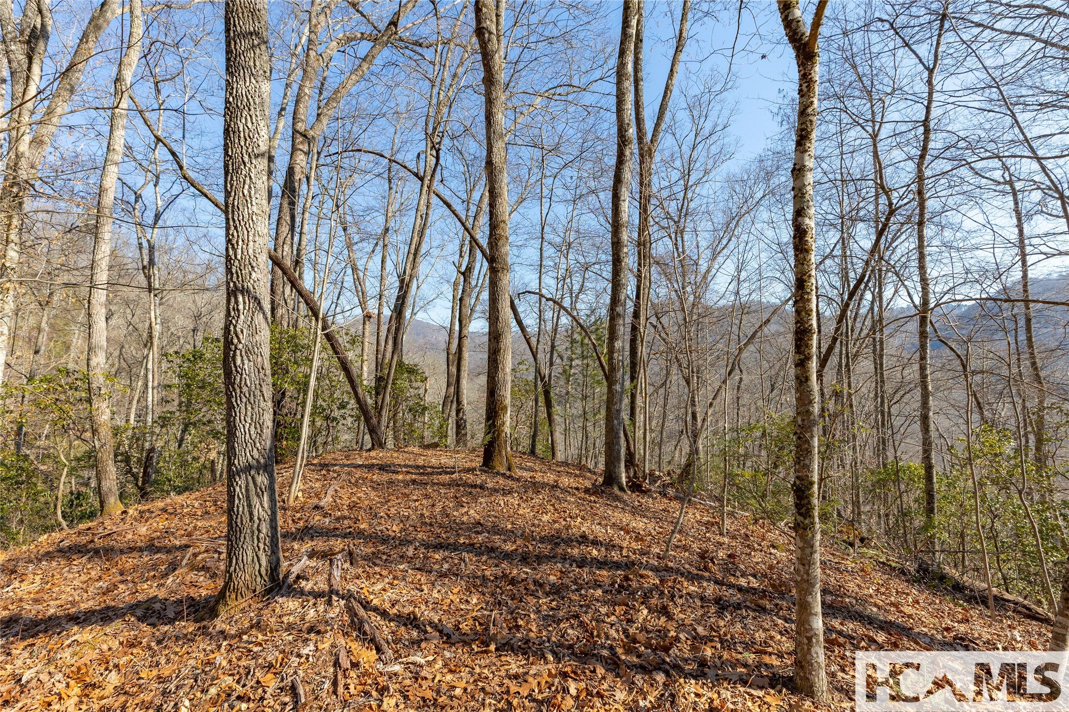 53 Cullowhee Forest Road Cullowhee, NC 28723 - Photo 16 of 41 Gallery Image 16