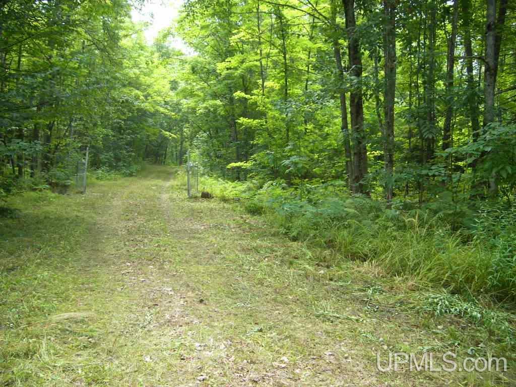 32328 North Firesteel Road Ontonagon, MI 49929 - Photo 6 of 10