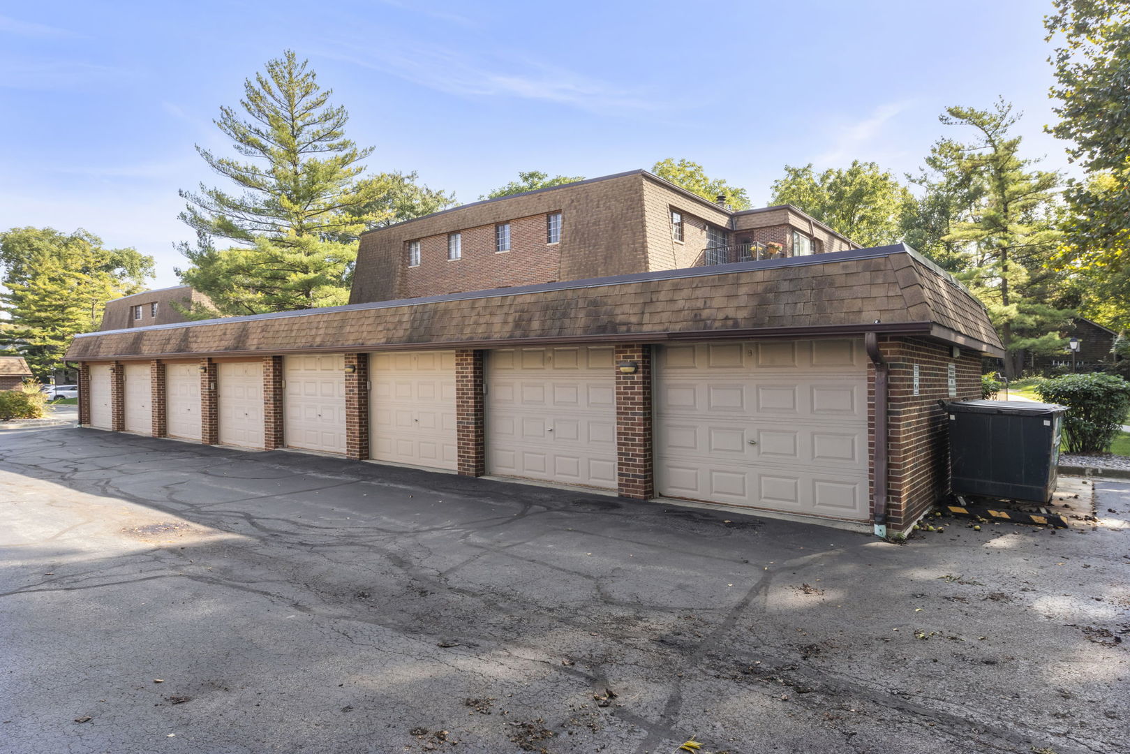 393 Duane Street, Unit 203 Glen Ellyn, IL 60137 - Photo 17 of 18 a view of a house with a yard and garage