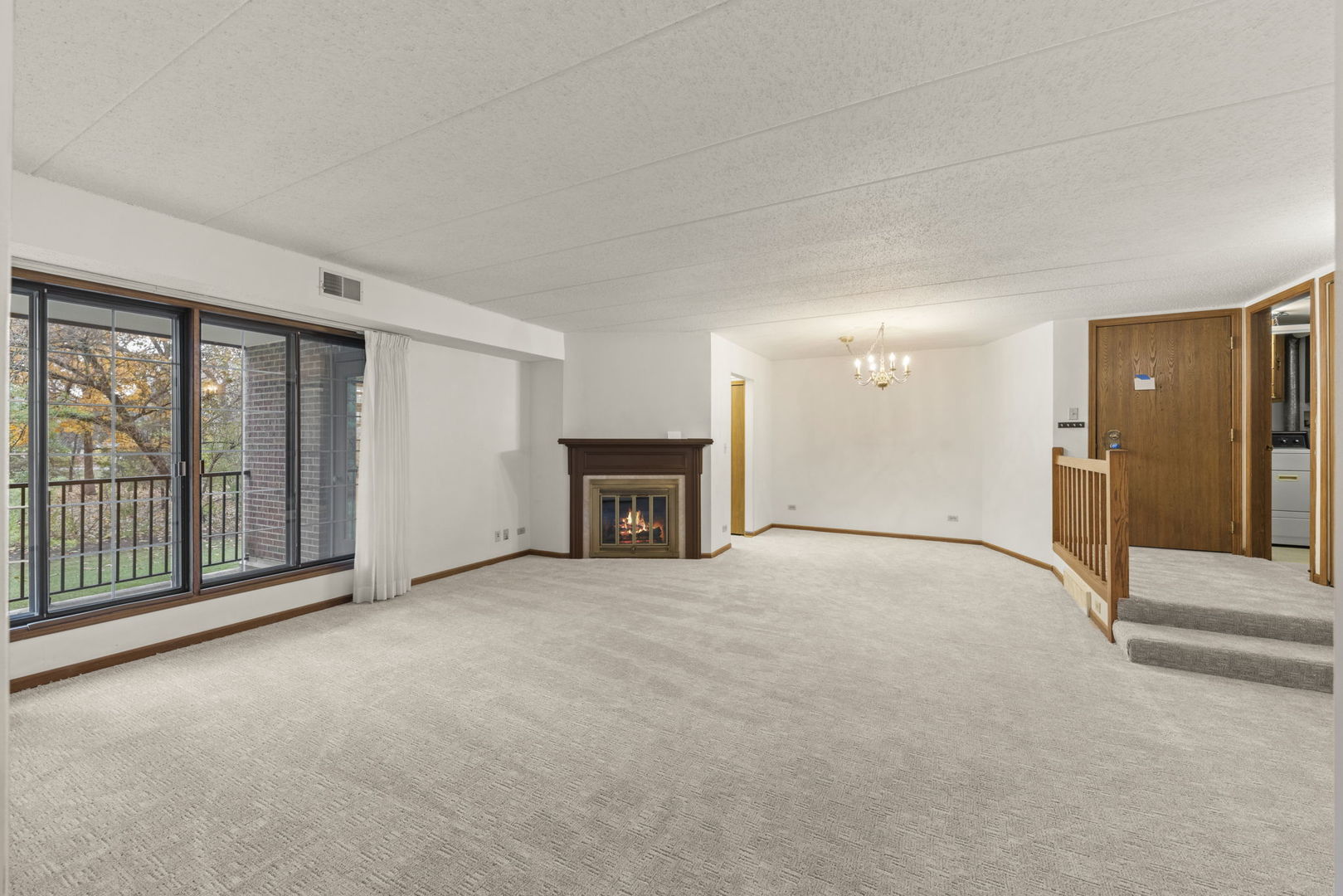 393 Duane Street, Unit 203 Glen Ellyn, IL 60137 - Photo 4 of 18 a view of an empty room with a fireplace