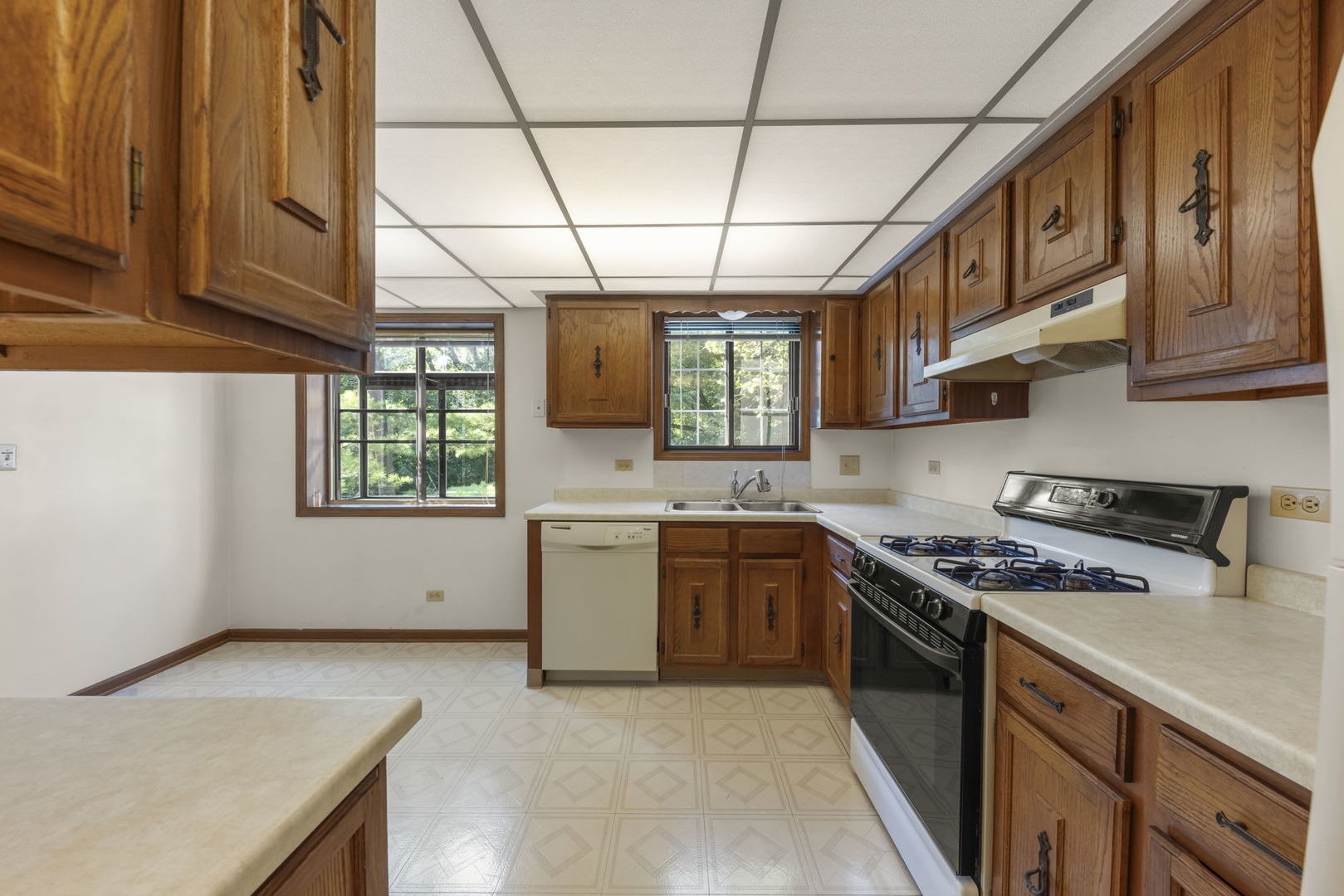393 Duane Street, Unit 203 Glen Ellyn, IL 60137 - Photo 7 of 18 a kitchen with stainless steel appliances granite countertop a stove a sink dishwasher and a stove top oven