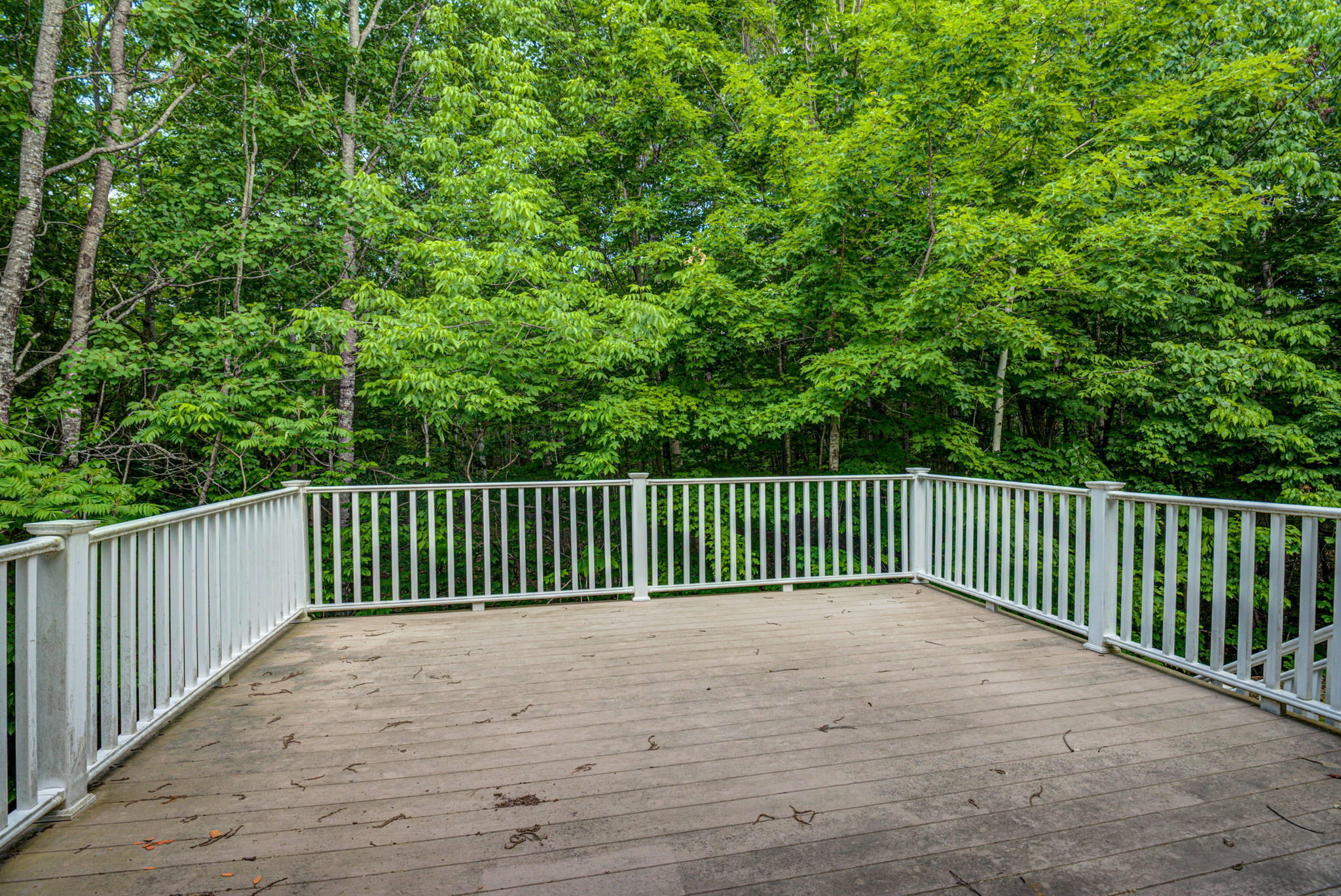 252 Whittemore Road Oxford, ME 04270 - Photo 37 of 38 37-web-or-mls-Pic#-37