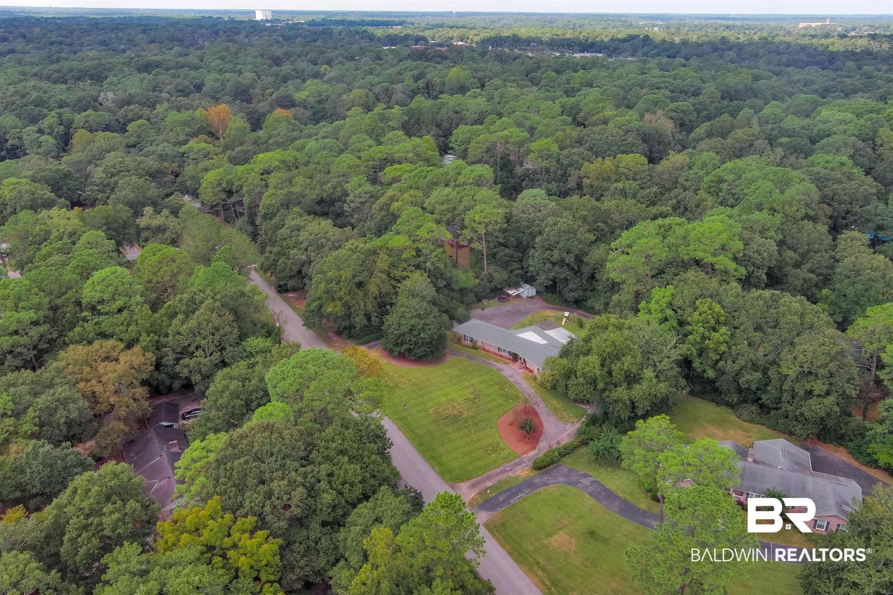 4306 Michael Boulevard Mobile, AL 36609 - Photo 32 of 35 Bird's eye view