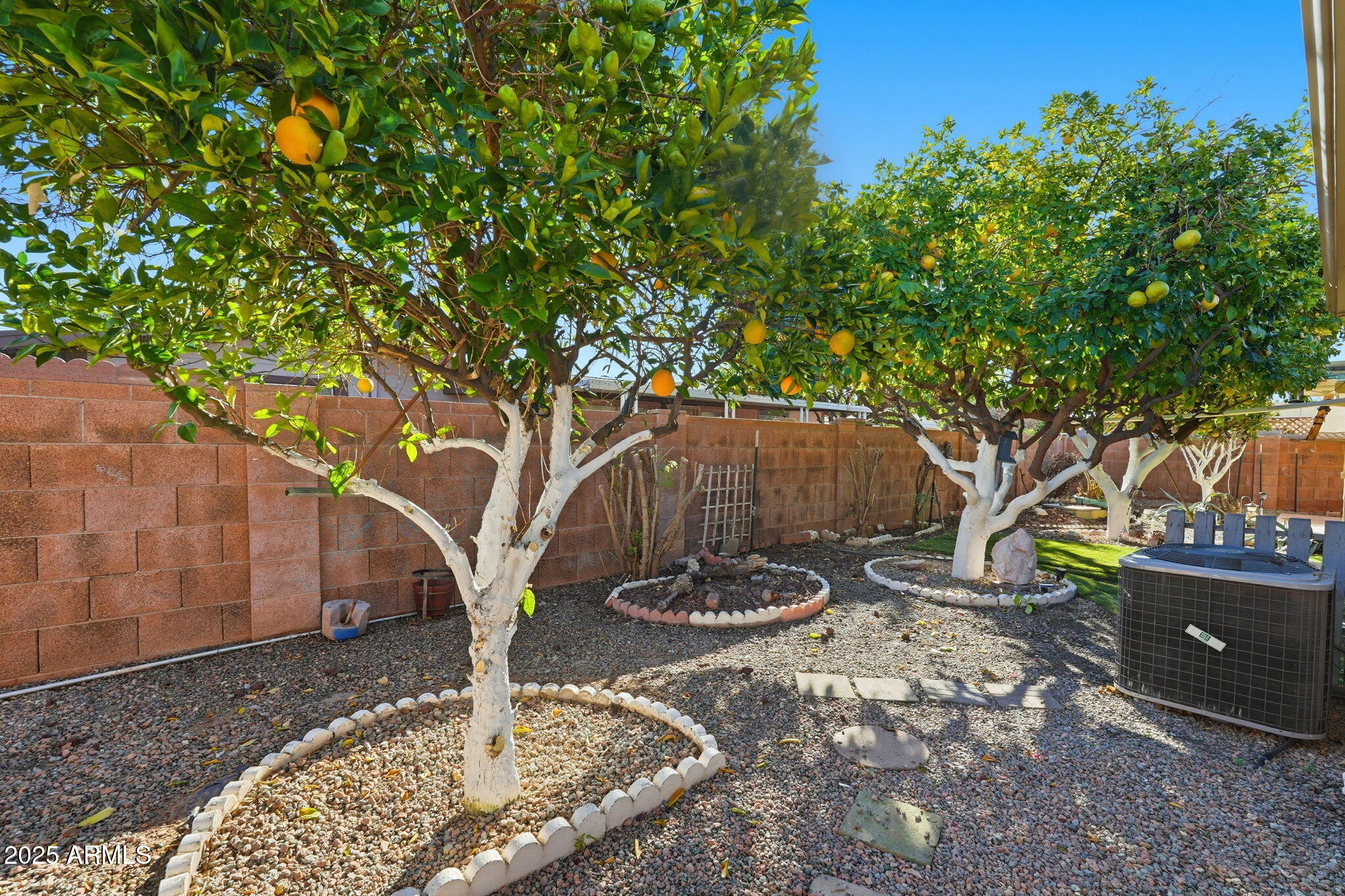 423 South Racine Mesa, AZ 85206 - Photo 32 of 35 Racine - backyard