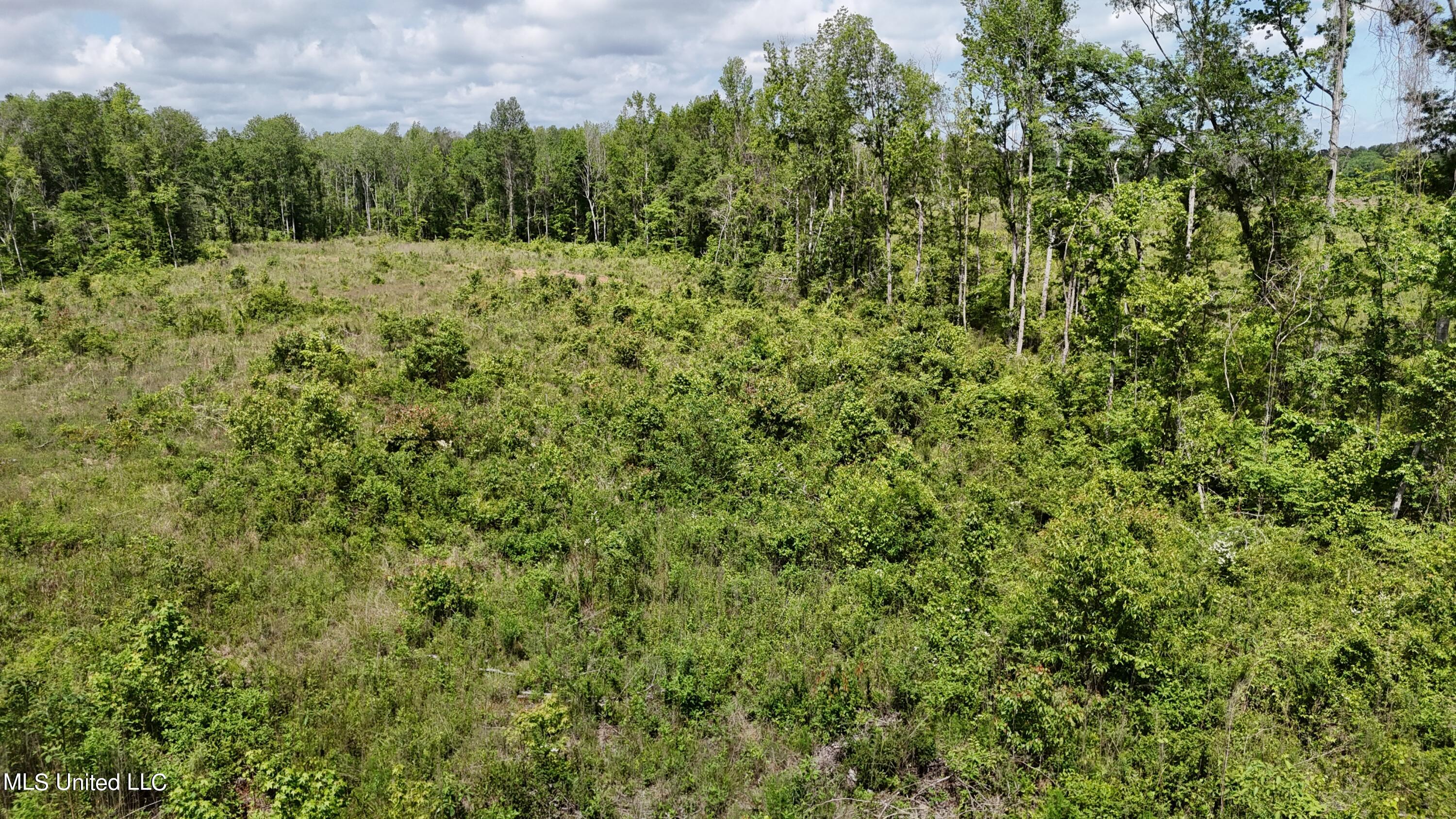 Harrison Road Forest, MS 39074 - Photo 15 of 34 DJI_20240504112142_0061_D