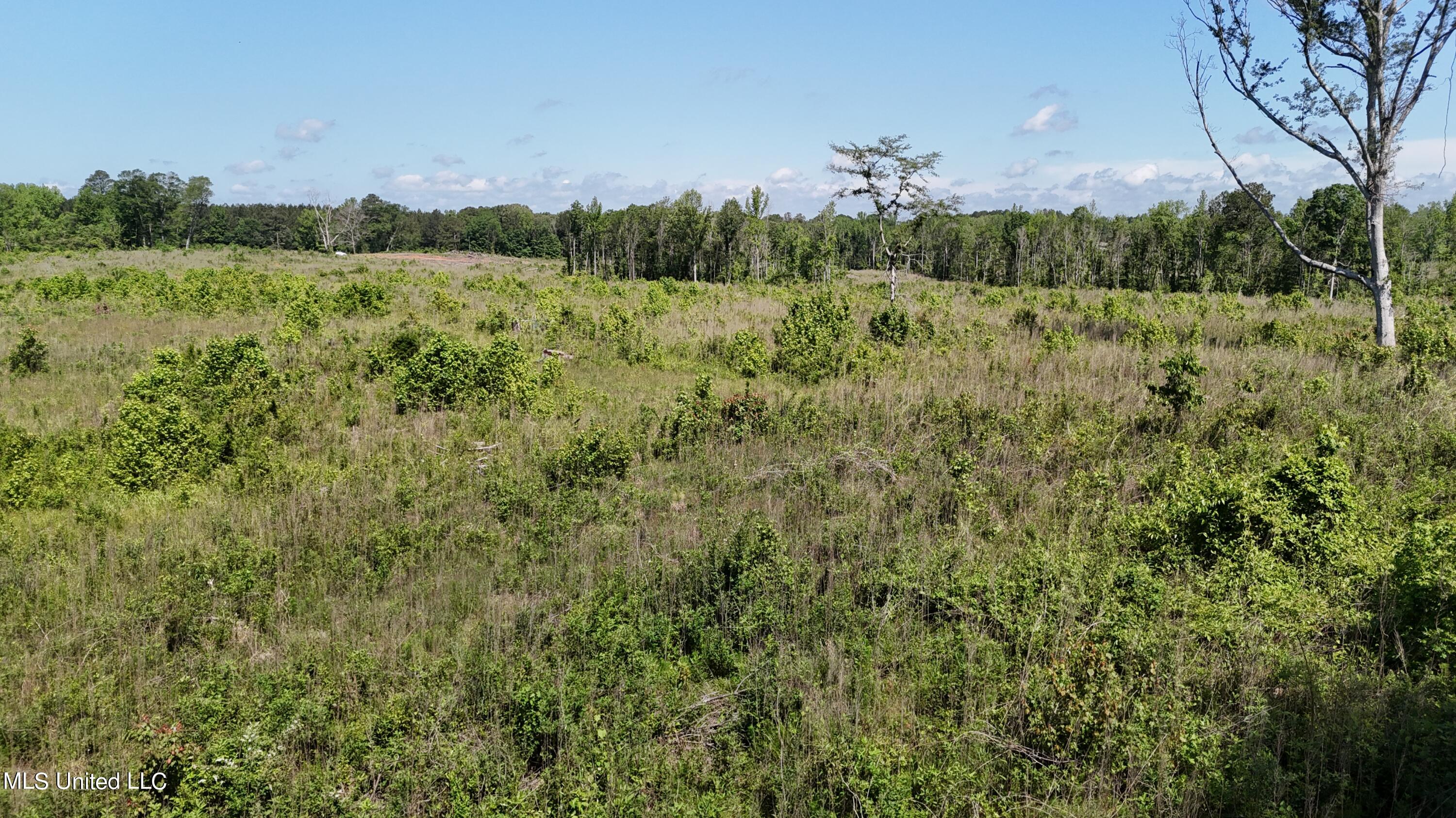Harrison Road Forest, MS 39074 - Photo 5 of 34 DJI_20240504104252_0050_D