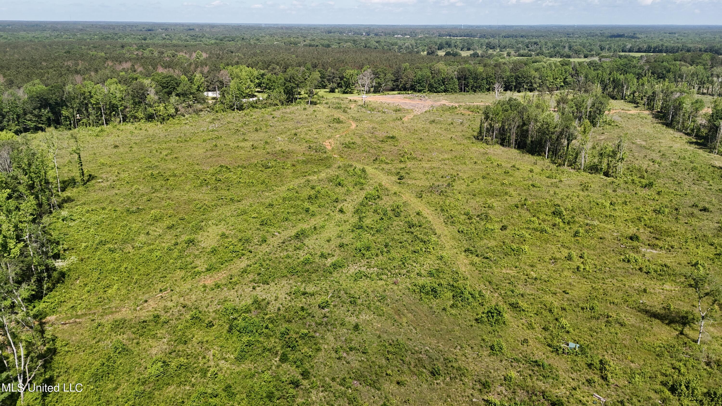 Harrison Road Forest, MS 39074 - Photo 8 of 34 DJI_20240504104457_0054_D